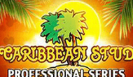 Игровой автомат Caribbean Stud Professional Series